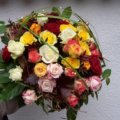 Rosen pur
