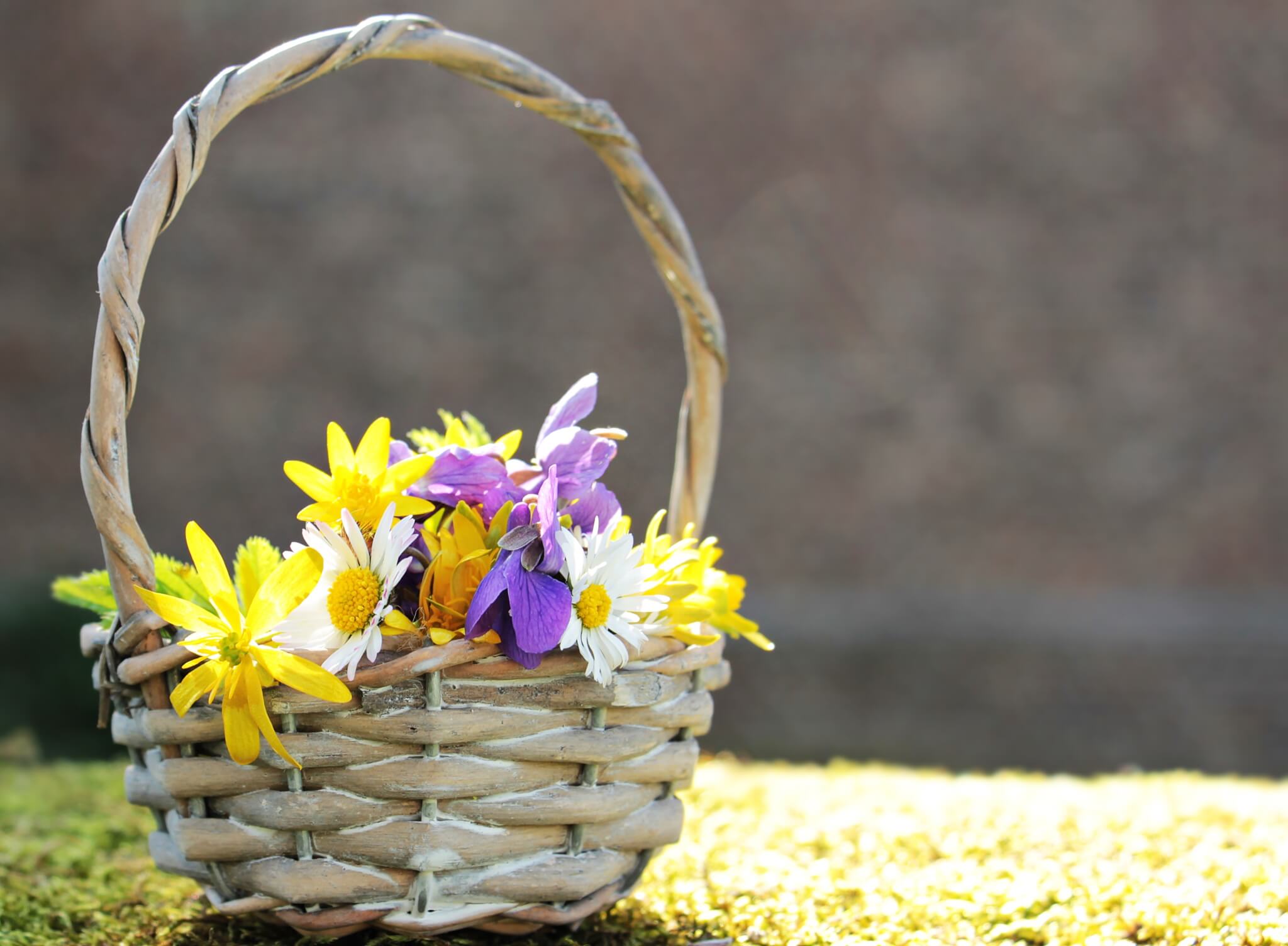 Buntes Blütenkörbchen