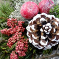 Blumen Mueller Advent Zapfen