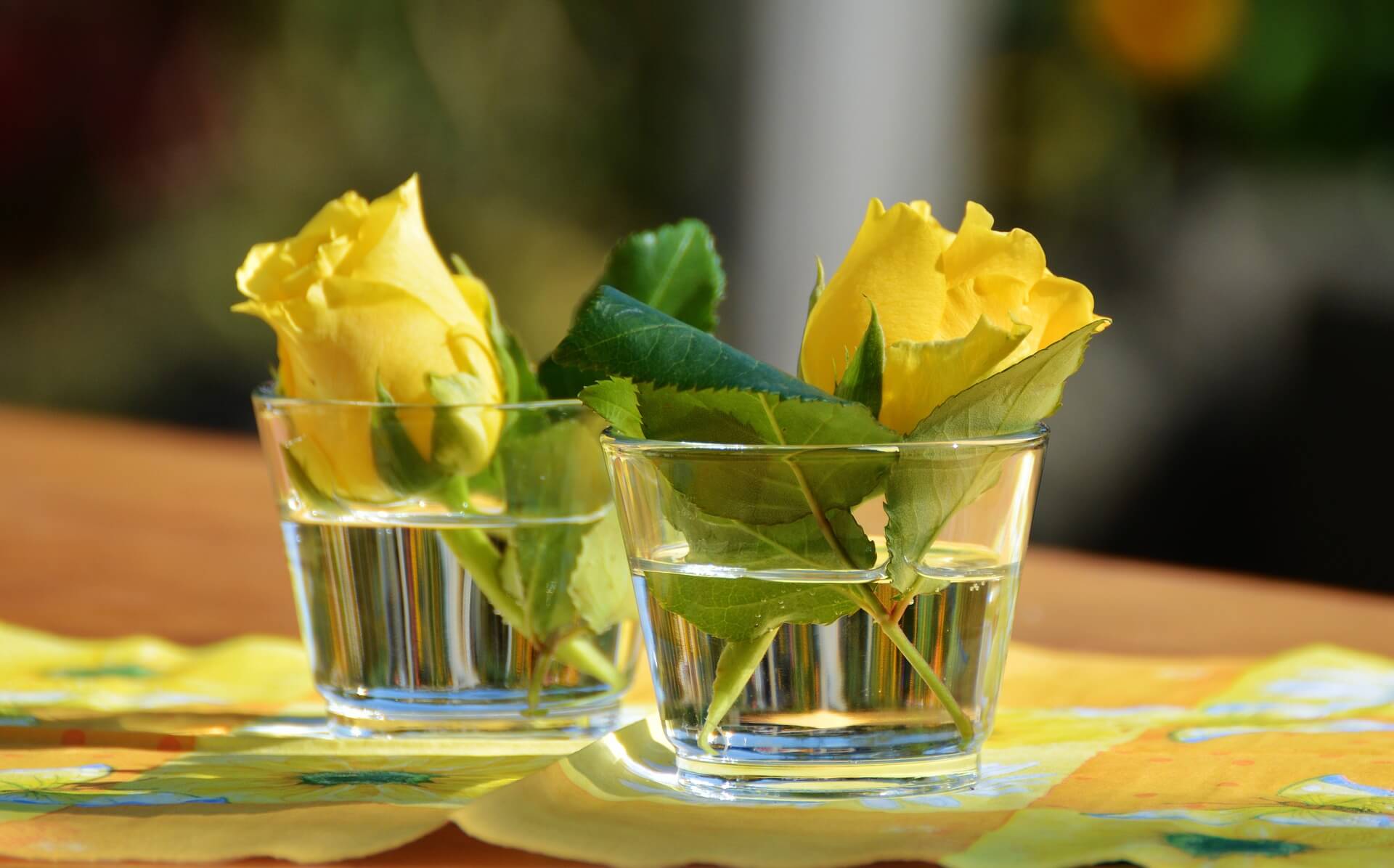 Schlichte Tischdekoration mit Rosen