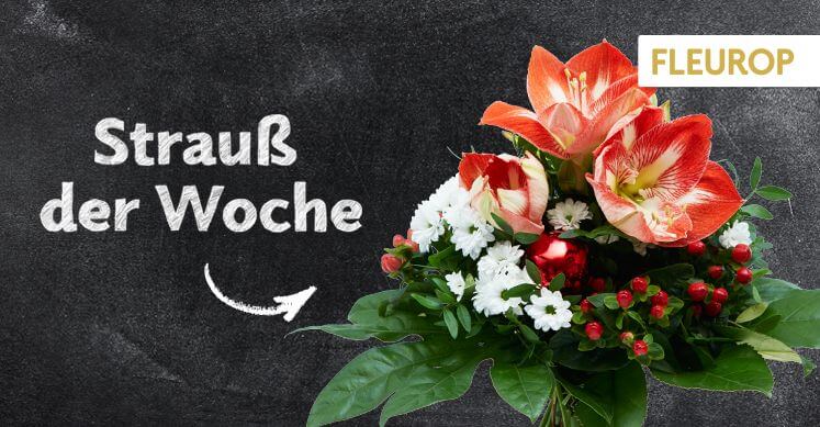 Strauß der Woche 49: Amaryllis und Kugeln