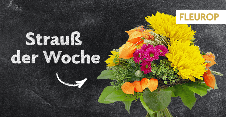 Strauß der Woche 37