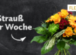Strauß der Woche 43