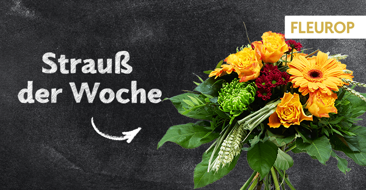 Strauß der Woche 43: Edle Chrysanthemen