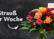 Strauß der Woche 45