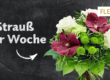 Strauß der Woche 46