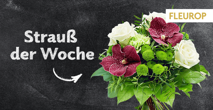 Strauß der Woche 46: Vanda, die Schöne