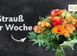 Strauß der Woche 47