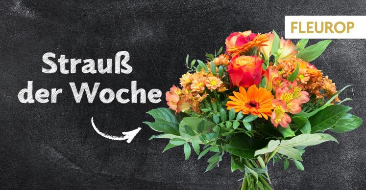 Strauß der Woche 47: Inka-Lilien in Orange